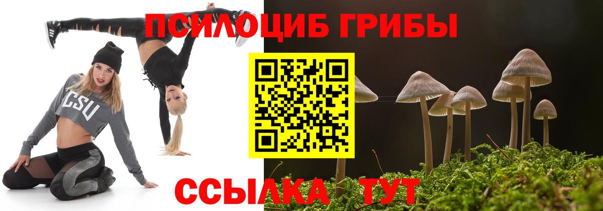 Галлюциногенные грибы прущие грибы Новочебоксарск